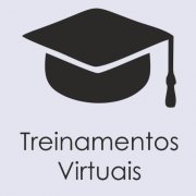 Logotipo Padrão dos Treinamentos Virtuais